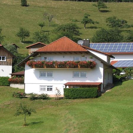 Ferienwohnung Burgblick Seelbach (Baden-Wurttemberg) Exterior photo