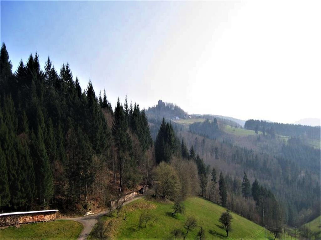 Ferienwohnung Burgblick Seelbach (Baden-Wurttemberg) Exterior photo