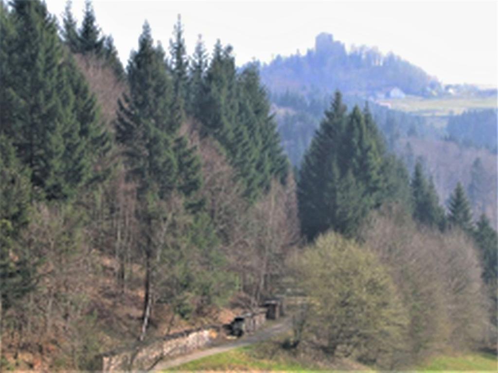 Ferienwohnung Burgblick Seelbach (Baden-Wurttemberg) Exterior photo